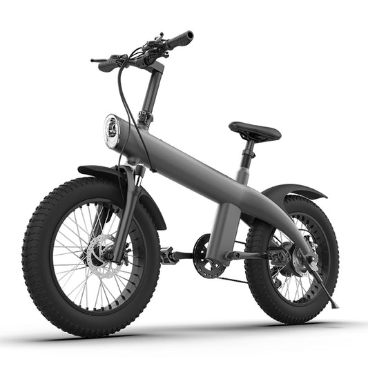 Q3-750W 20*4.0 Inch Fat Tire All-terrain Off-Road Electric Bicycle