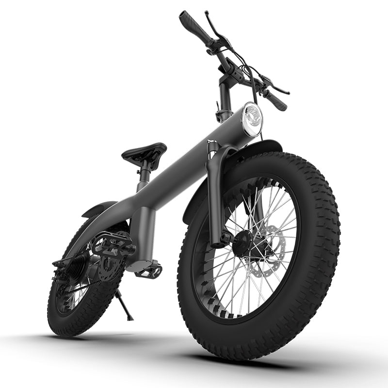 Q3-750W 20*4.0 Inch Fat Tire All-terrain Off-Road Electric Bicycle