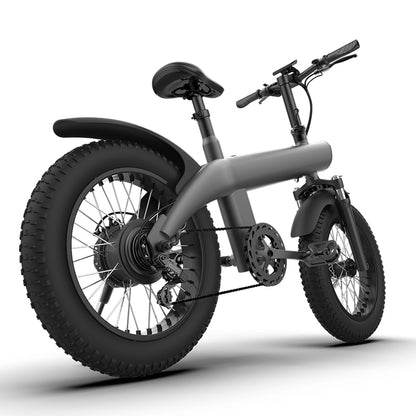 Q3-750W 20*4.0 Inch Fat Tire All-terrain Off-Road Electric Bicycle